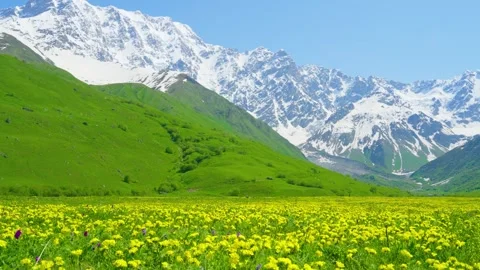 Flowering valleys Stock Footage 314635795