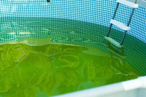 Flowering of water in the frame pool, the concept of water care in the pool Stock Photos