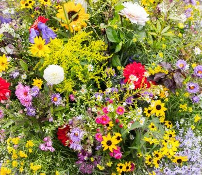 Flowermix 1 Stock Photos