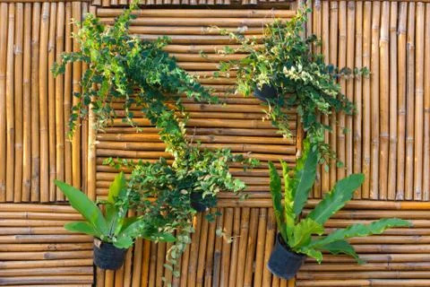 Flowerpot on bamboo  background Foto stock
