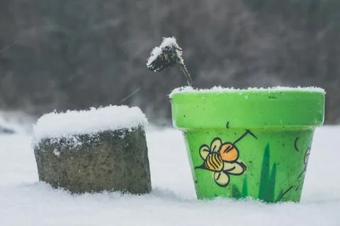 Flowerpot with bee drawing in winter, snow around Stock Photos