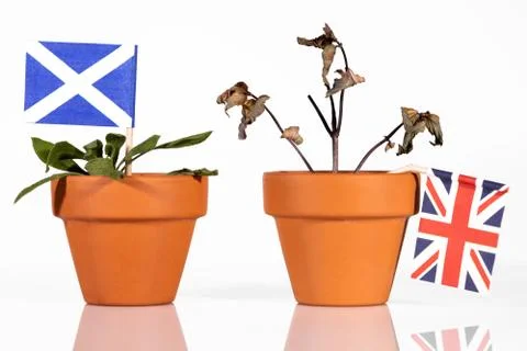 Flowerpot with different flags, concept impacts of the brexit Stock Photos
