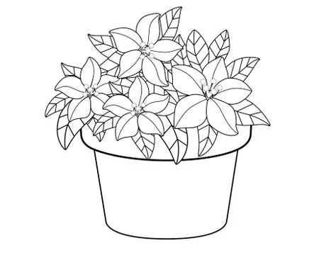 Flowerpot with flowers. Vector linear drawing for coloring. Stock Illustration