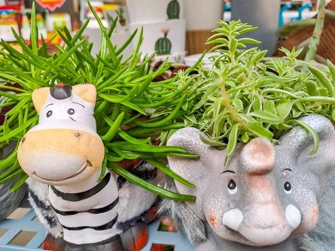 A flowerpot in the form of a animals, with a cactus Stock Photos