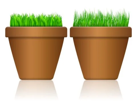 Flowerpot with grass Stock Illustration
