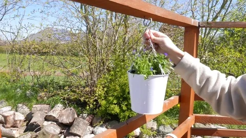 Flowerpot is hung outside in spring Vídeo Stock 78136658