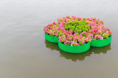 Flowerpot Stock Photos