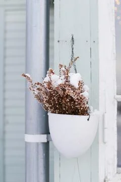 Flowerpot with snow Foto stock