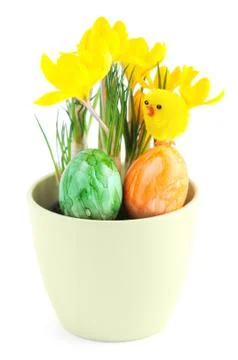 Flowerpot of yellow crocus with Easter eggs on white isolated background Stock Photos