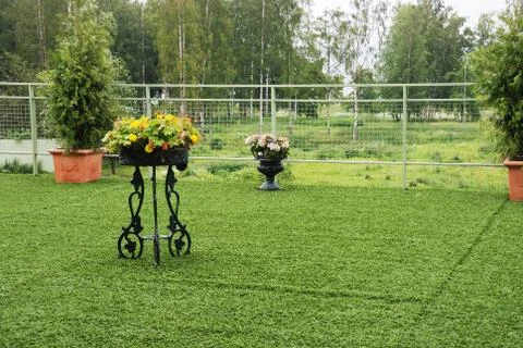 Flowerpots Stock Photos