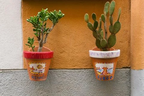 Flowerpots Stock Photos