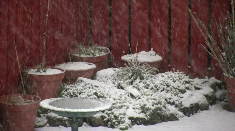 Flowerpots in the snow Video stock 321010