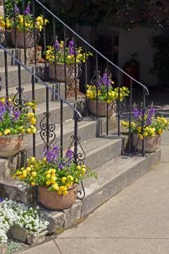 Flowerpots on stairs Stock Photos