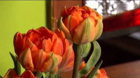 Flowers 04-pond 5 720 Stock Footage 24237669