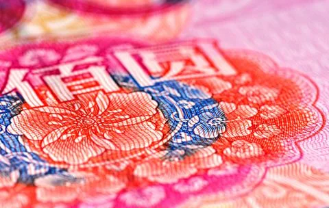 Flowers on the 100 RMB note Stock Photos