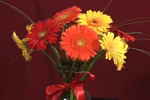 FLOWERS 11 Stock Footage 160642