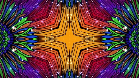 Flowers 15  01 Stock Footage 166860979