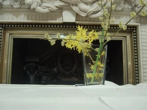 Flowers 2 Stock Photos