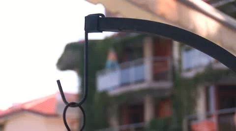 Flowers 3 Stock Footage 11321329