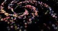 Flowers 3d Animation HD Footage