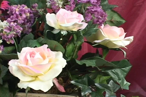 FLOWERS 5 Stock Footage 160653