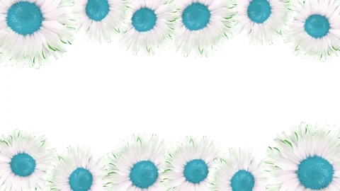 Flowers 5 Stock Footage 126503470