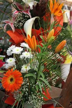 Flowers (7) Stock Illustration