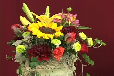 FLOWERS 9 Stock Footage 160644