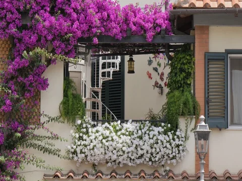 Flowers adorning window on Piazza Sant Antonino, Sorrento, Costiera Amalfitana Stock Footage