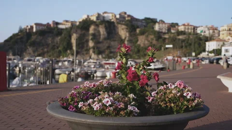 Flowers at the Agropoli's harbor Видео 278964140