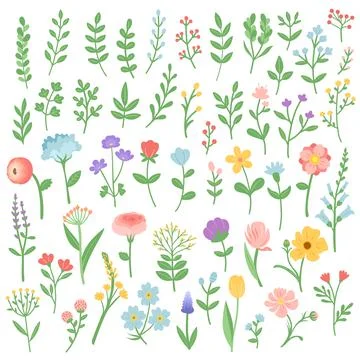 Flowers and branches summer spring set vector Stock Illustration