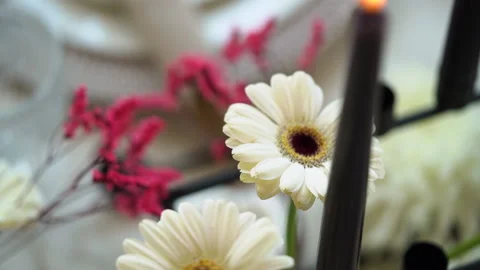 Flowers and candles on the table Stock Footage 140517019