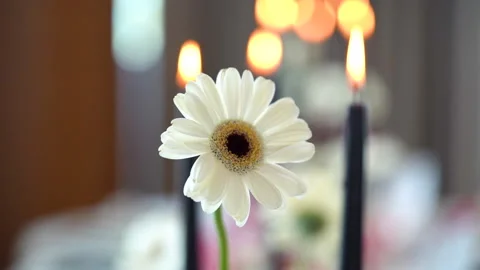 Flowers and candles on the table Video stock 140517408
