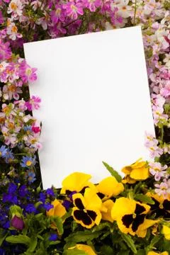 Flowers and copyspace Stock Illustration