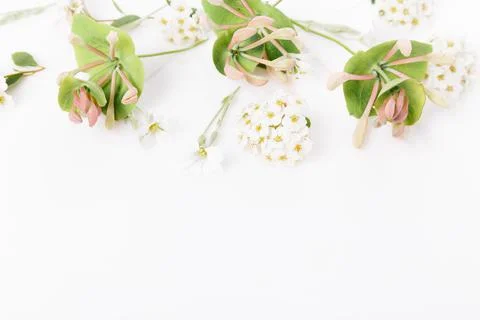 Flowers and eucalyptus composition. Pattern made of various colorful flowers on 写真素材
