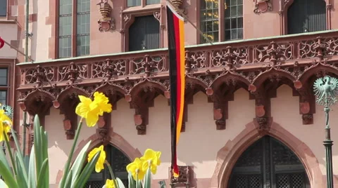 Flowers and german flag Stock Footage 2974998
