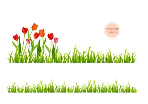 Flowers and grass set Stock Illustration