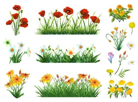 Flowers and grass set of vector elements. Nature and ecology Stock Illustration