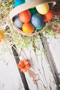 Flowers And Grass Surround Basket Of Dyed Eggs Stock Photos