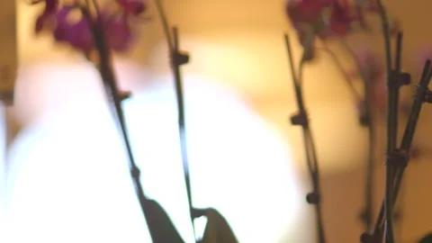 Flowers and Hanging Lights in Upscale Restaurant Stock Footage 141085491