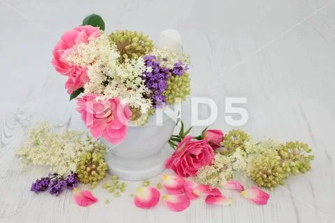 Flowers and Herb Natural Medicine Stock Photos