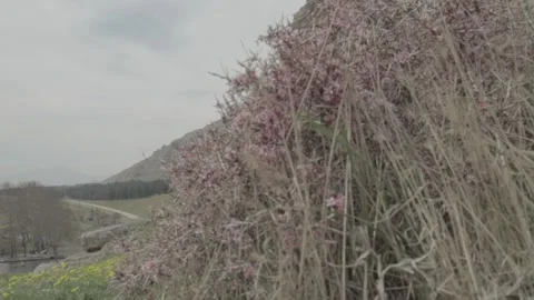 Flowers and landscape Stockbeeldmateriaal 235972879