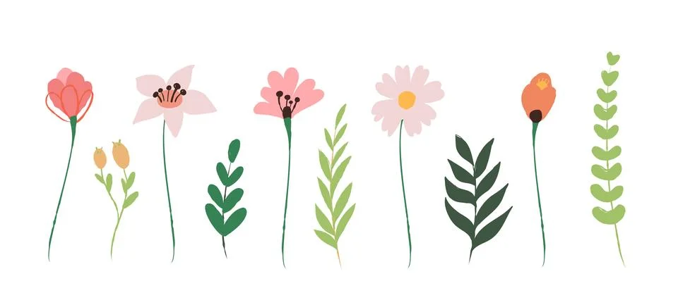 Flowers and Leaves Design Elements Cartoon Vector Stock Illustration