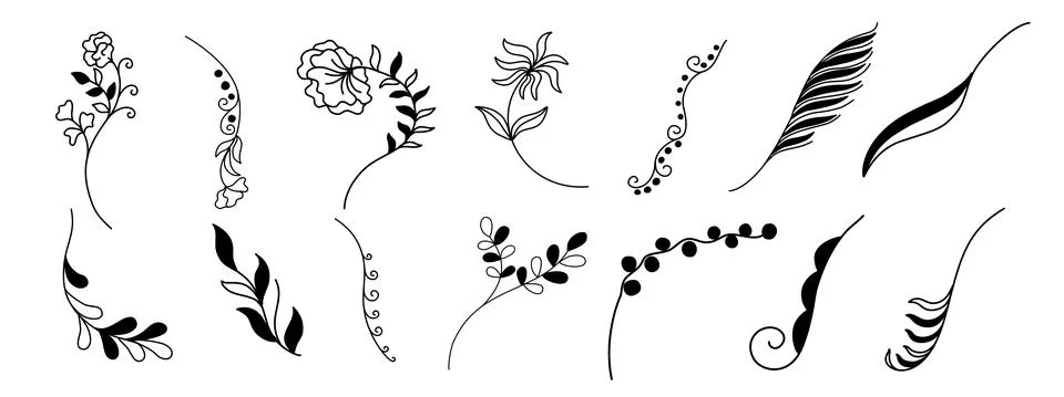 Flowers and leaves elements Stockillustratie