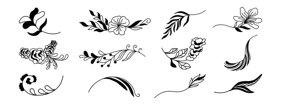 Flowers and leaves elements 库存插图