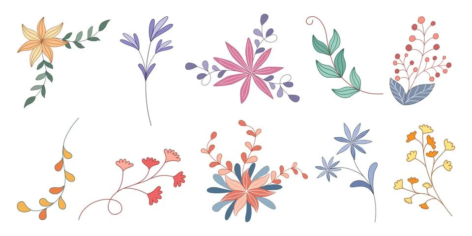 Flowers and leaves elements set  Stock-Illustration
