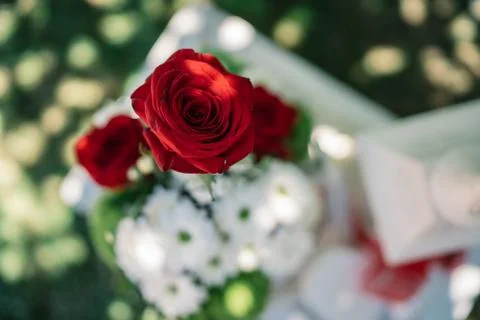 Flowers and objects that make the colors of Italian flag. Stock Photos