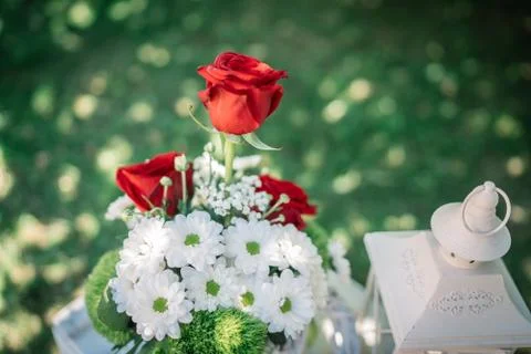 Flowers and objects that make the colors of Italian flag. Stock Photos