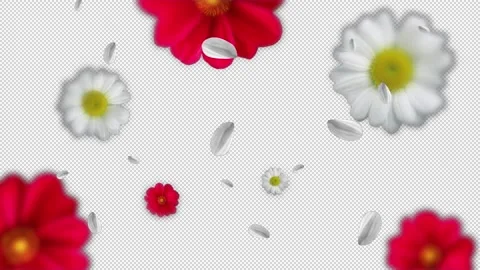 Transparent Flower Images – Browse 1,718 Stock Photos, Vectors, and Video