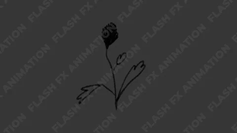 Flowers and Plants Animations | After Effects 스톡 After Effects